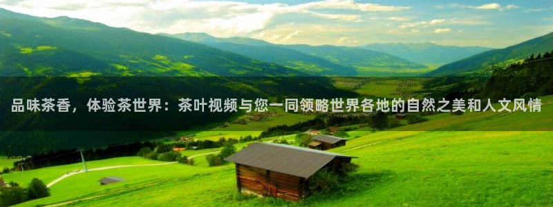 彩名堂为啥又不能用了