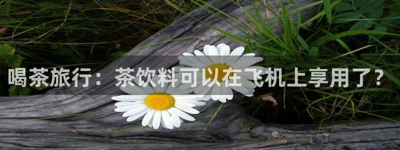 彩名堂改名稻草人了吗知乎