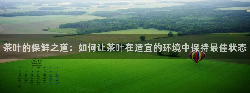 cmt彩名堂