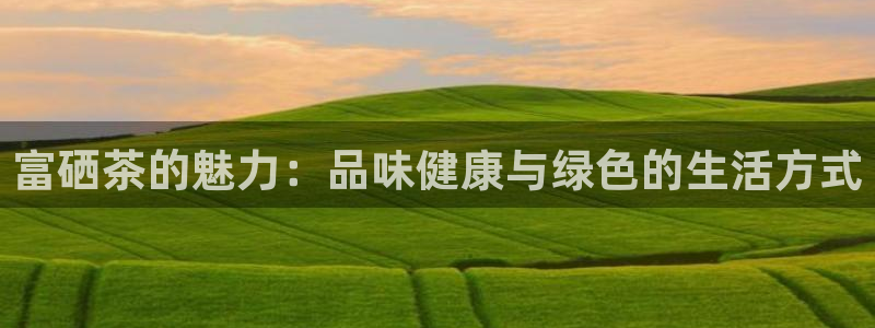 彩名堂人工计划客户端