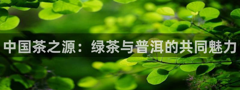 彩名堂免费计划下载