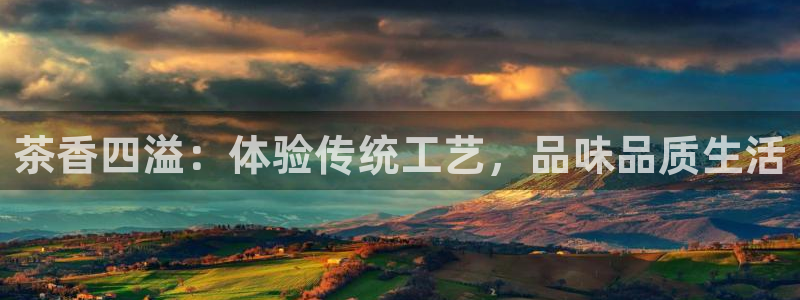 如何进入彩名堂官网更新