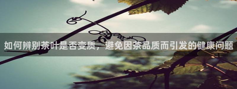 彩名堂app官方网址是多少