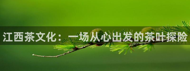 彩名堂计划和01计划怎么很稳