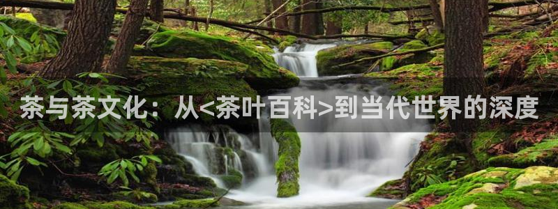 彩名堂怎么买准确率高