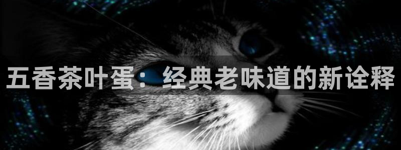彩名堂app官方网