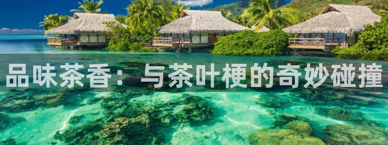 彩名堂怎么用不输