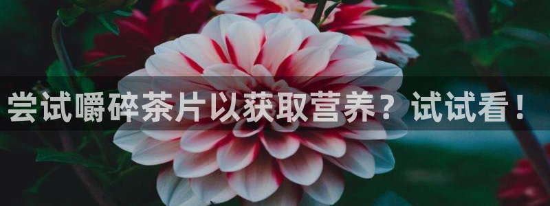 彩名堂预测软件与分析软件区别