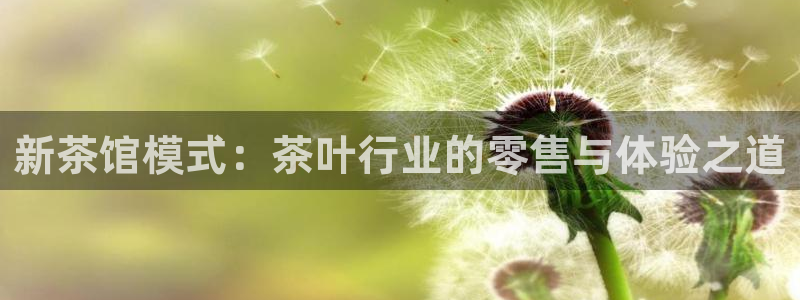 彩名堂计划技巧