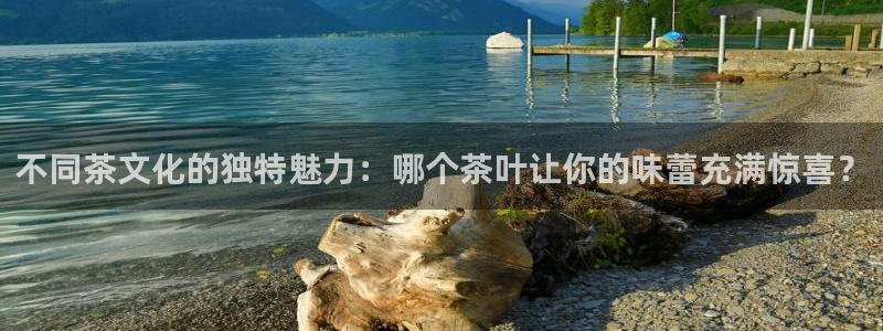 彩名堂App下载