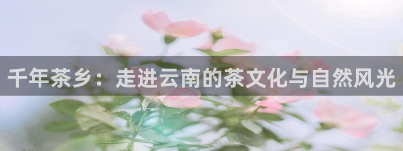 彩名堂预测免费计划