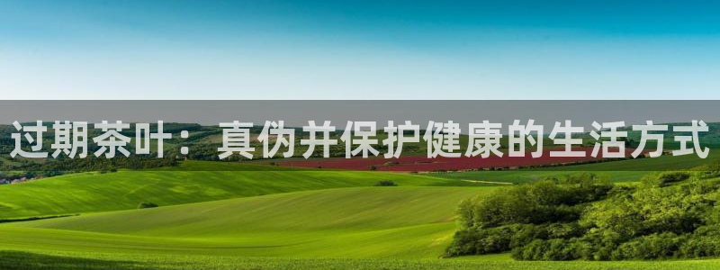 彩名堂怎么打不开了
