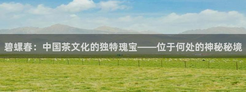 彩名堂官网计划客户端
