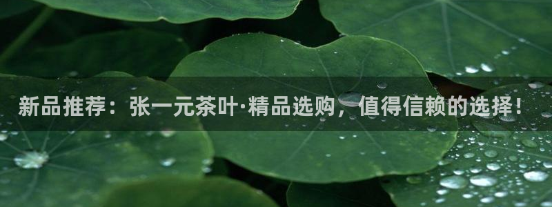 彩名堂计划app新版