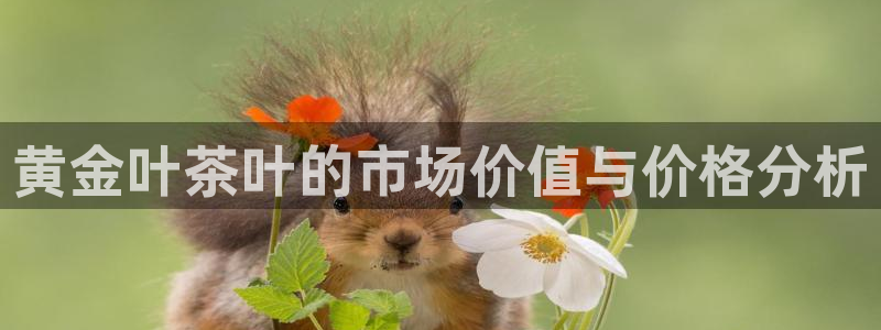 彩名堂官网谁有