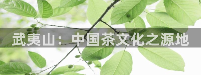 彩名堂免费计划软件下载