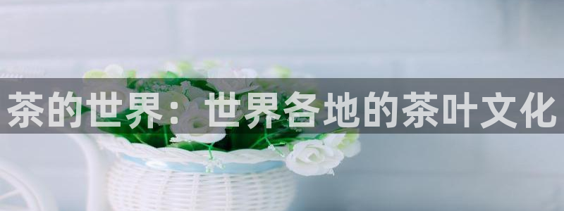 彩名堂还可以用吗
