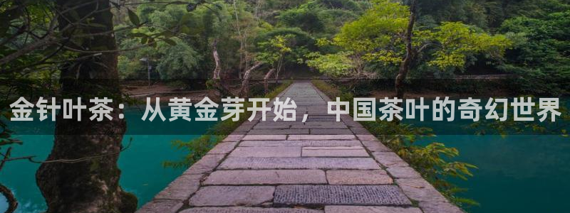 彩名堂二维码
