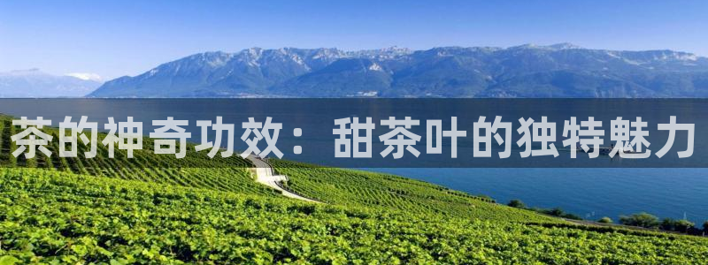 老版本彩名堂计划软件