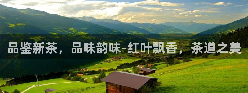 彩名堂在线下载