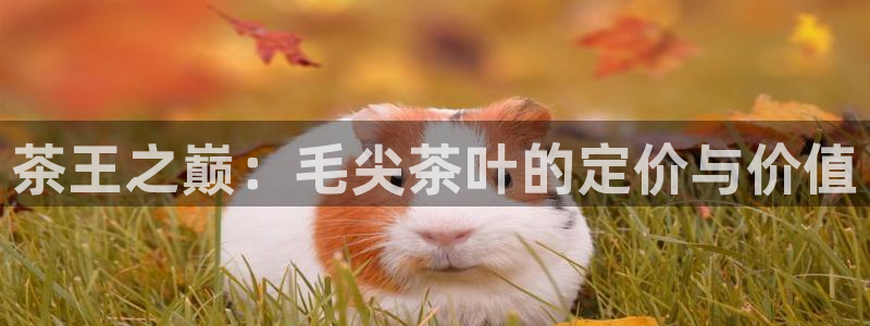 彩名堂计划app新版