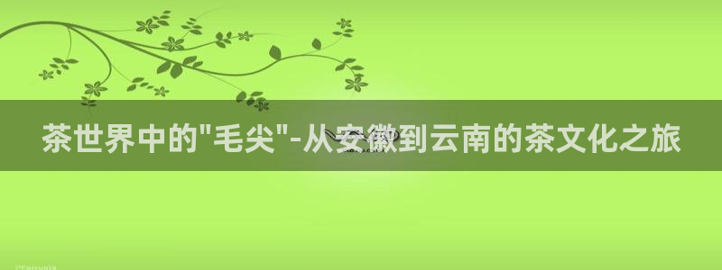彩名堂5.0计划