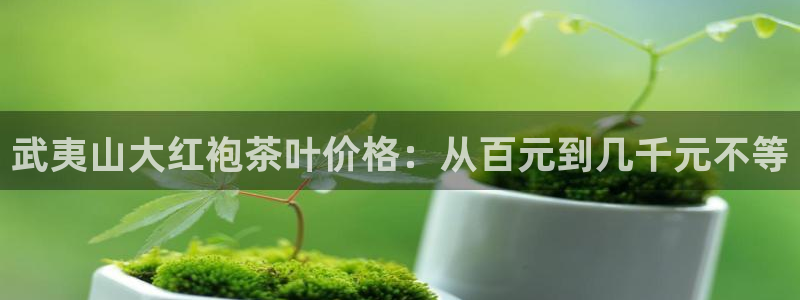 彩名堂50版本计划