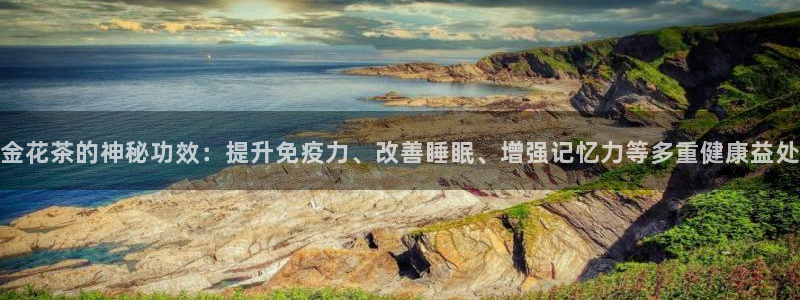 彩名堂官方下载地址