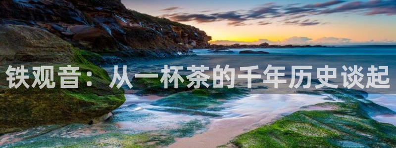 彩名堂怎么样