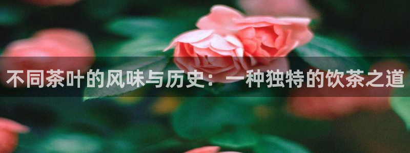 彩名堂app下载5.1.0