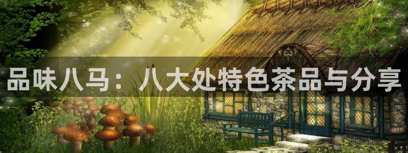 彩名堂预测软件与分析