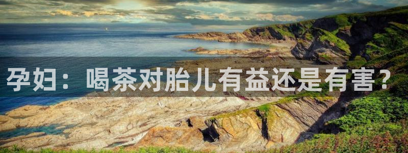 彩名堂怎么跟计划才不连挂在一起