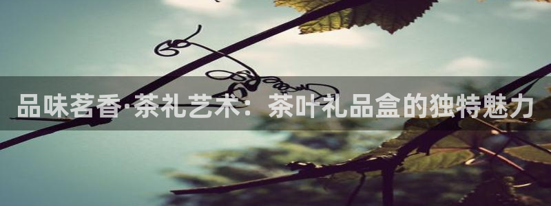彩名堂5.0