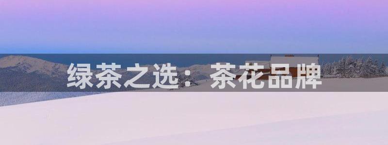 彩名堂是正规的公司吗