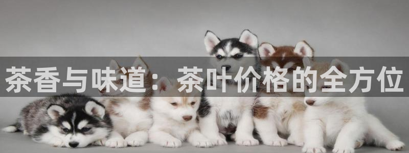 彩名堂4.3