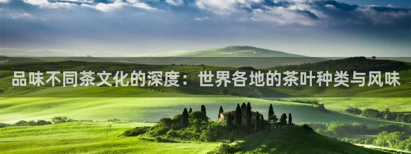 彩名堂怎么打不开了
