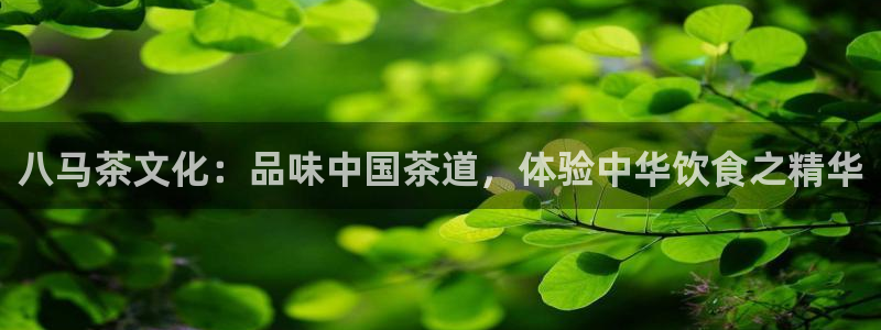 彩名堂免费计划官网怎么进不去了