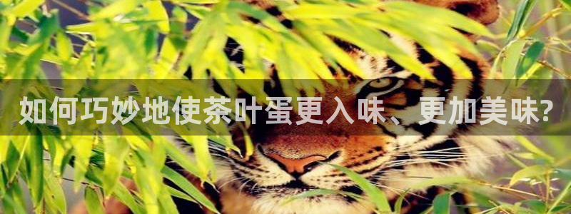 彩名堂预测官网
