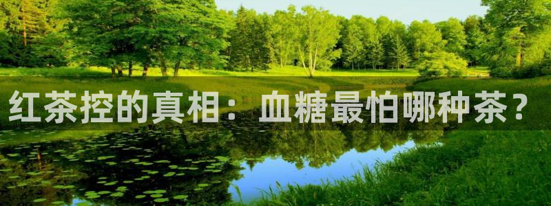 如何进入彩名堂官网更新