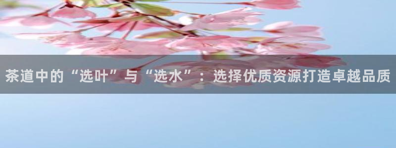下载彩名堂预测计划软件安装