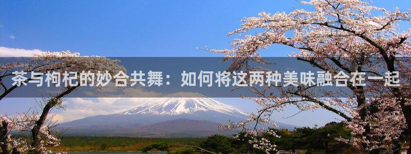 彩名堂最新免费计划官网