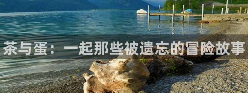 彩名堂使用方法