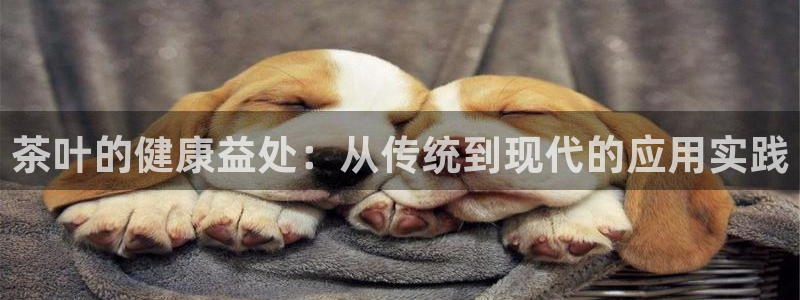 彩名堂免费计划5.0使用方法是什么