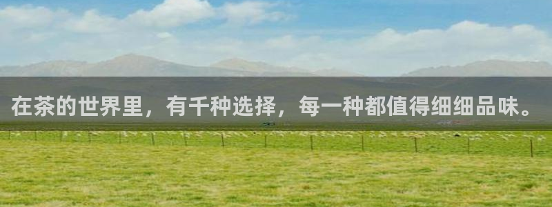 彩名堂app官网