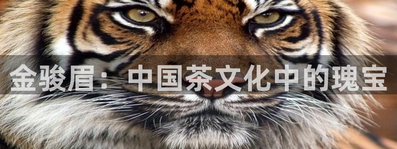 彩名堂app官网