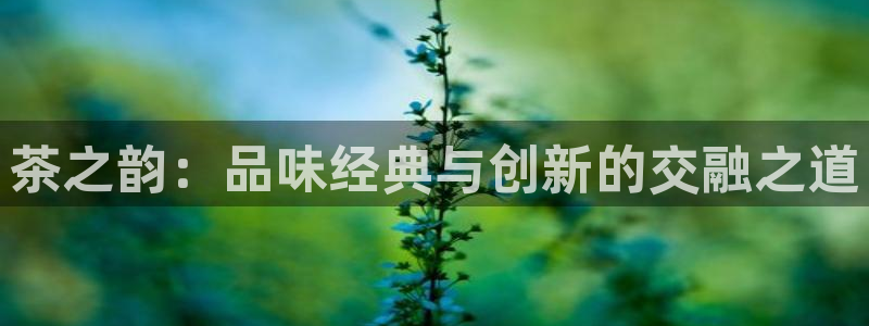 彩名堂预测软件与分析软件区别