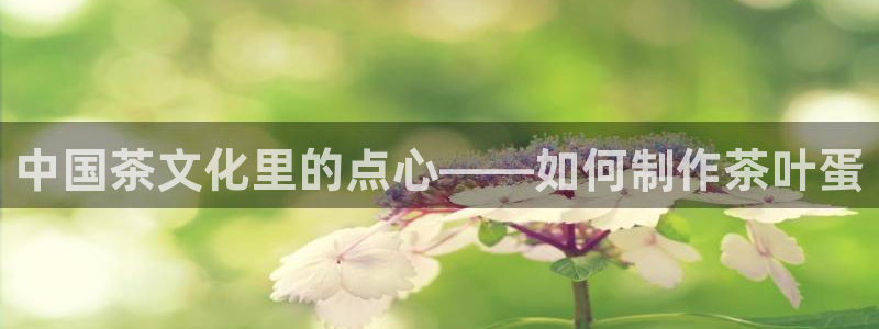 彩名堂改成什么名字了