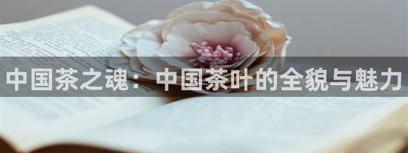 彩名堂计划最新版手机版
