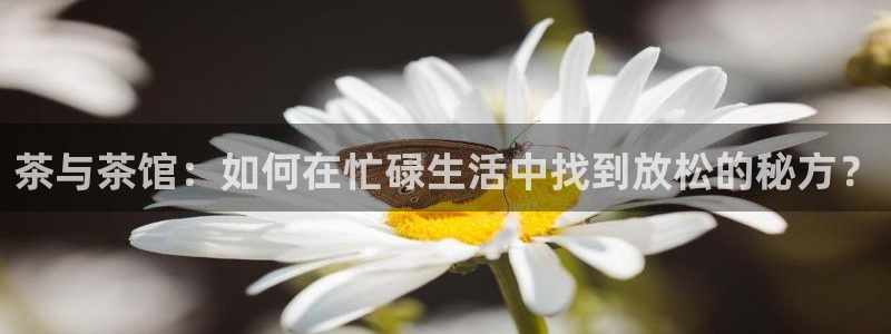 彩名堂排三
