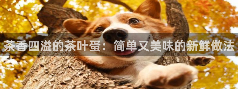 为什么彩名堂今天不能用